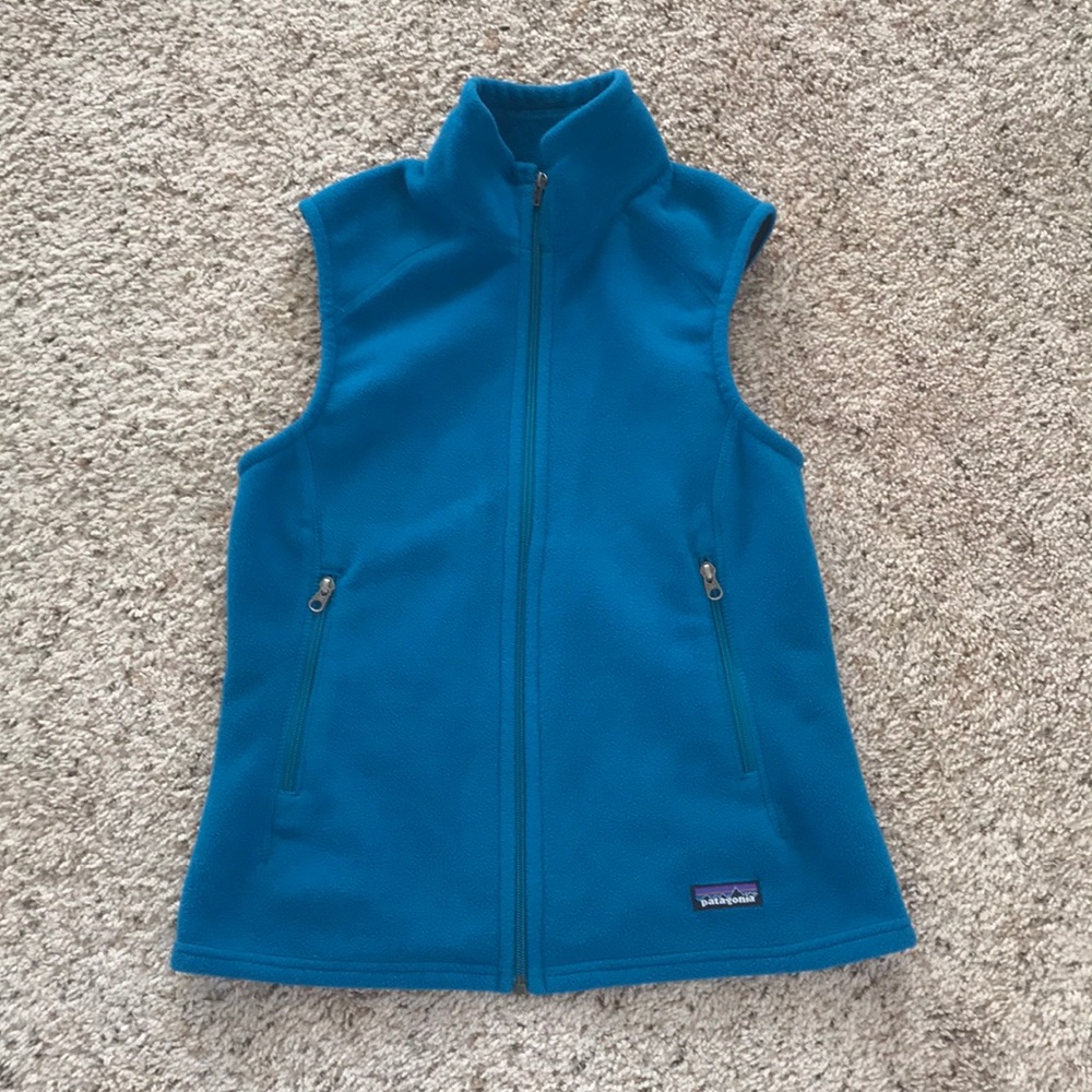 Patagonia Synchilla Fleece Vest